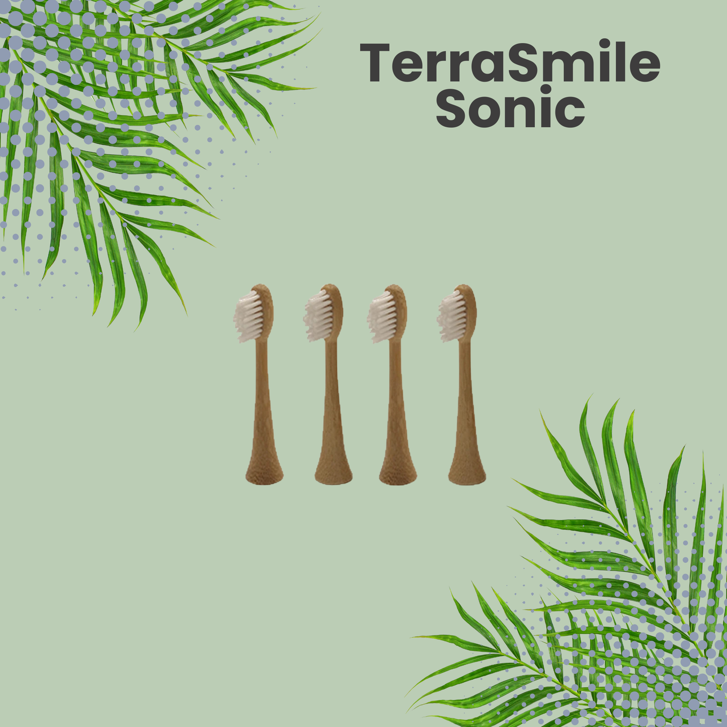 TerraSmile Sonic