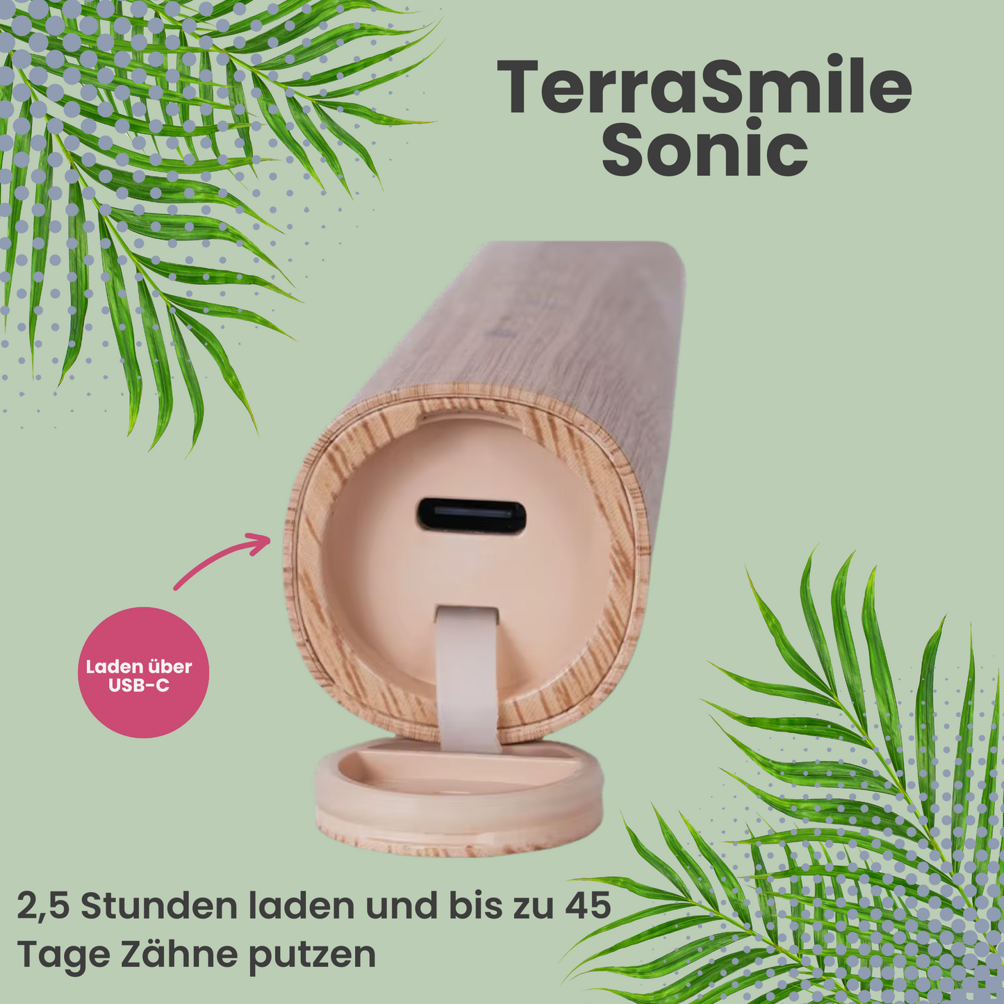 TerraSmile Sonic