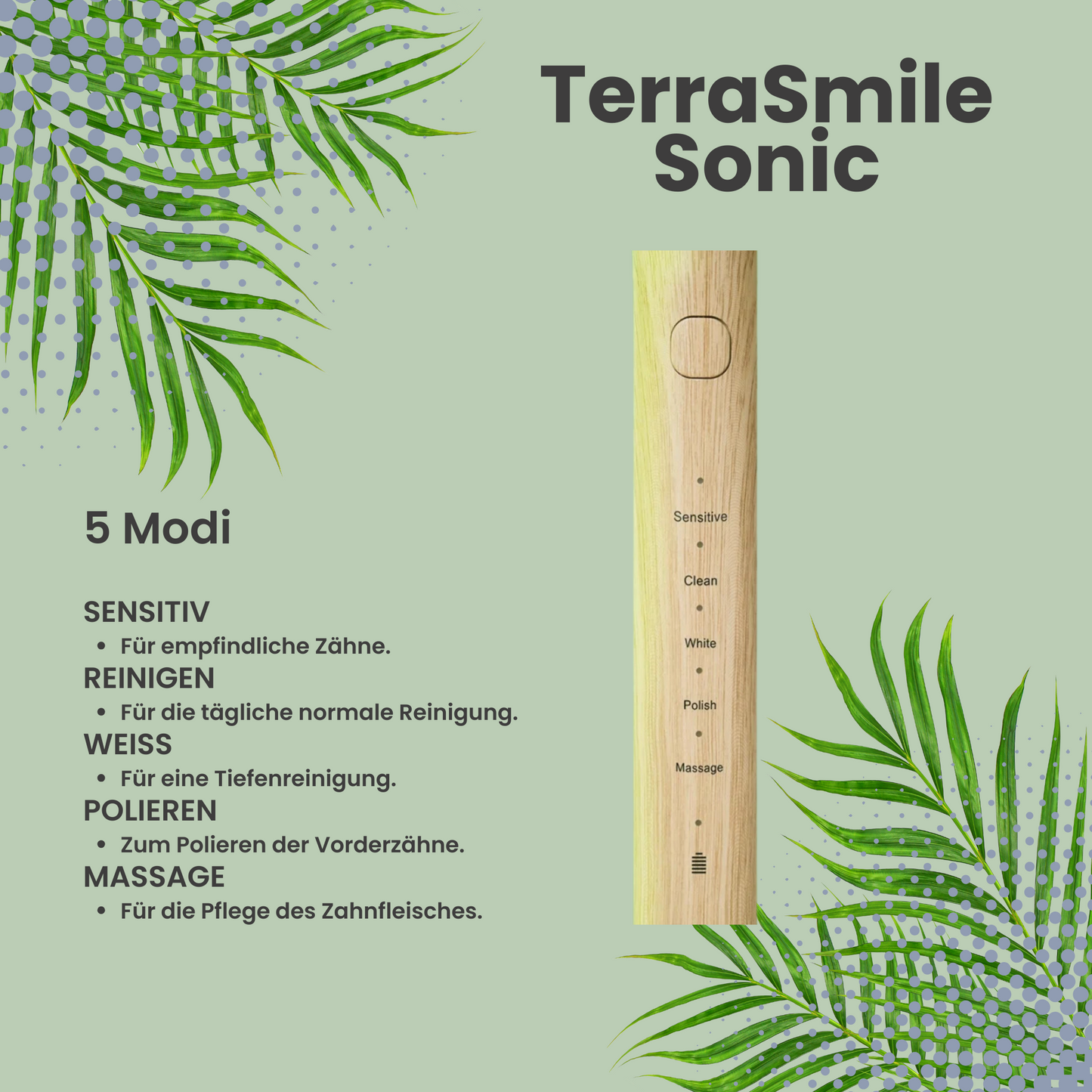 TerraSmile Sonic