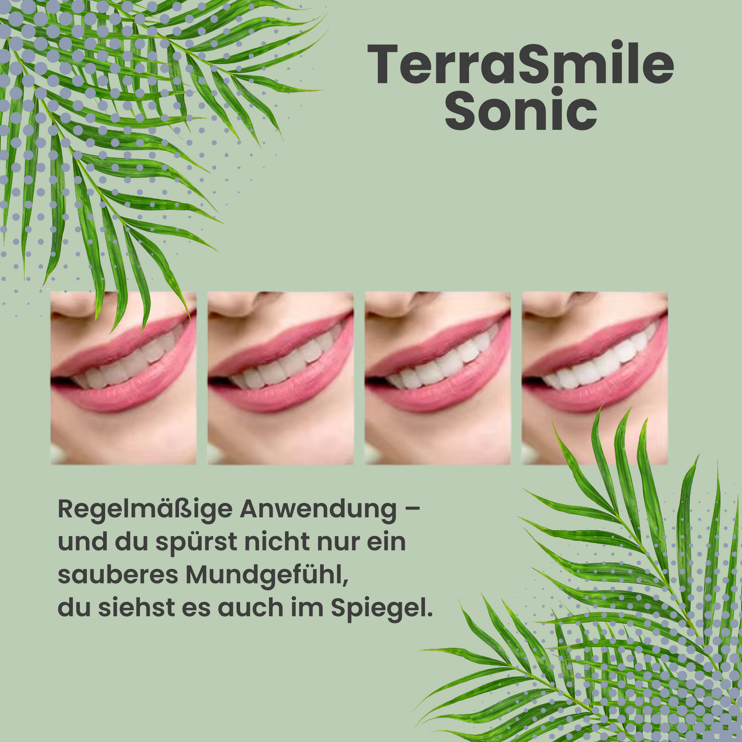 TerraSmile Sonic
