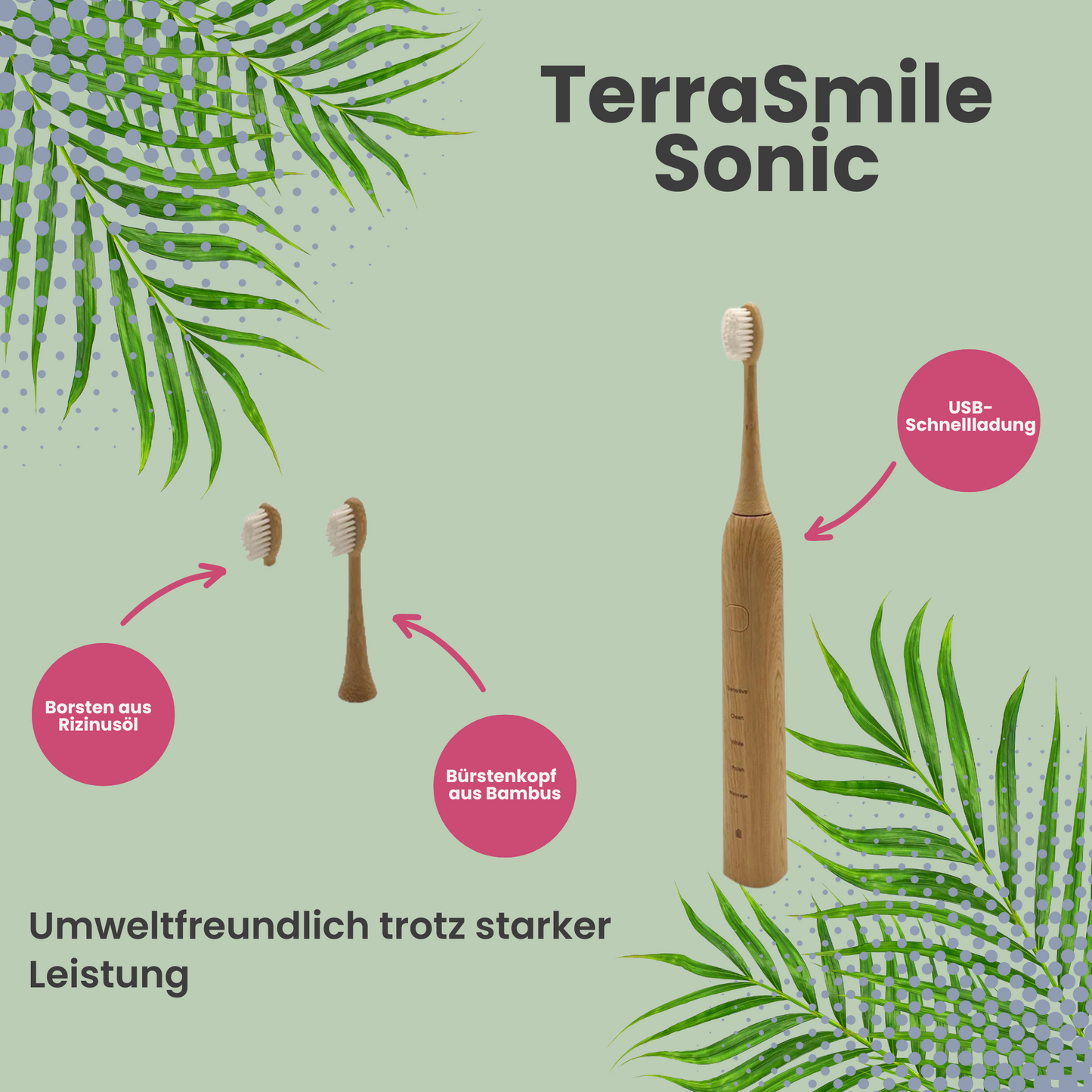 TerraSmile Sonic
