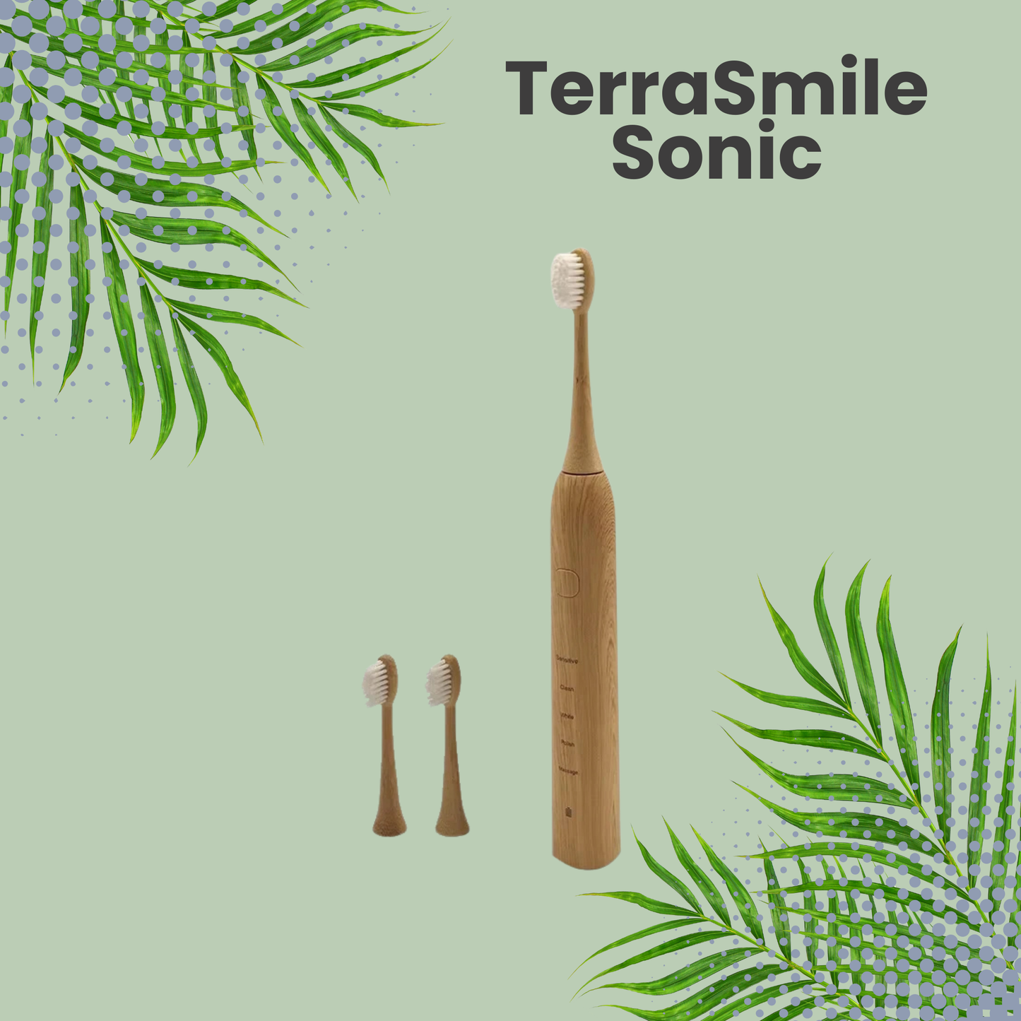 TerraSmile Sonic