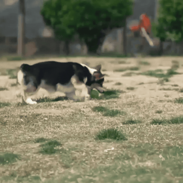 BouncyBuddy: Interaktiver Spielball