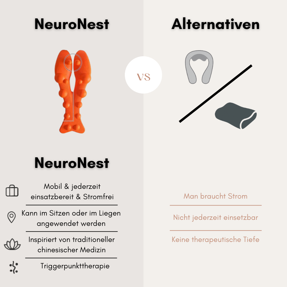 NeuroNest