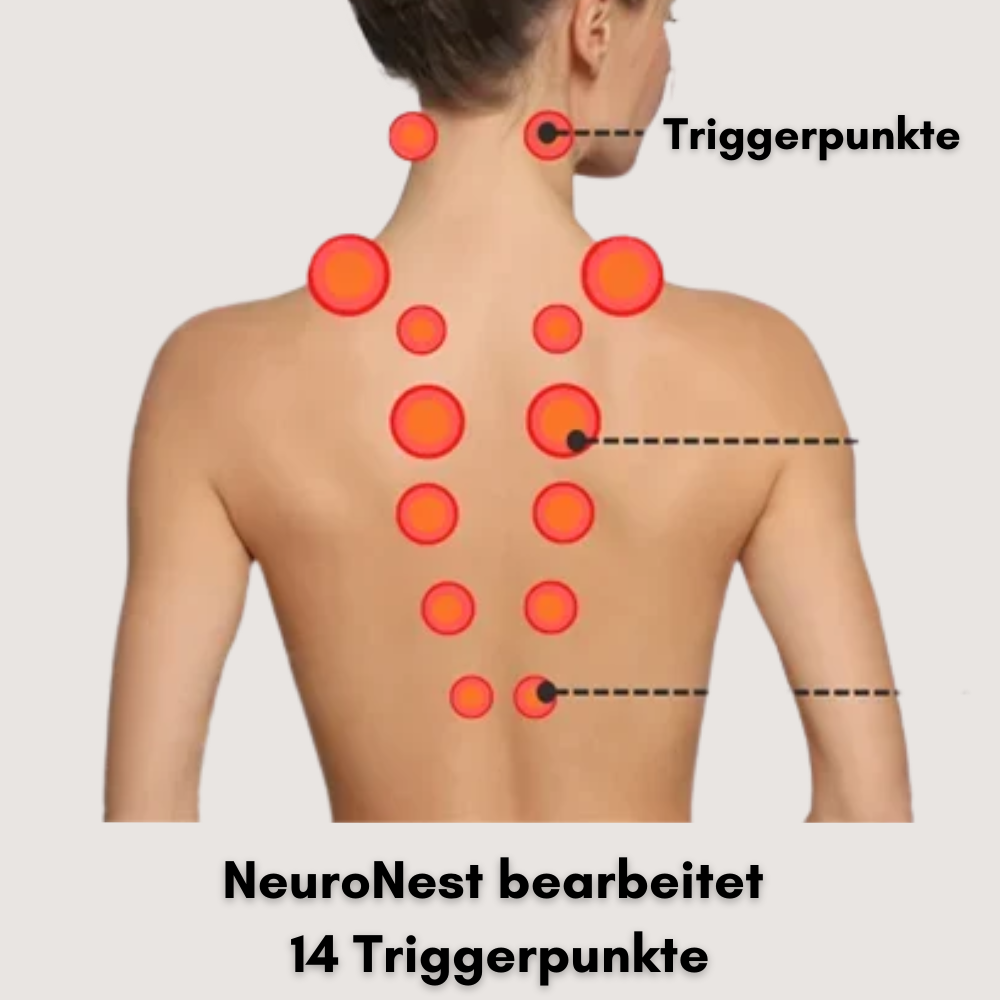 NeuroNest