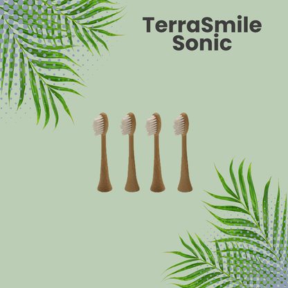 TerraSmile Sonic