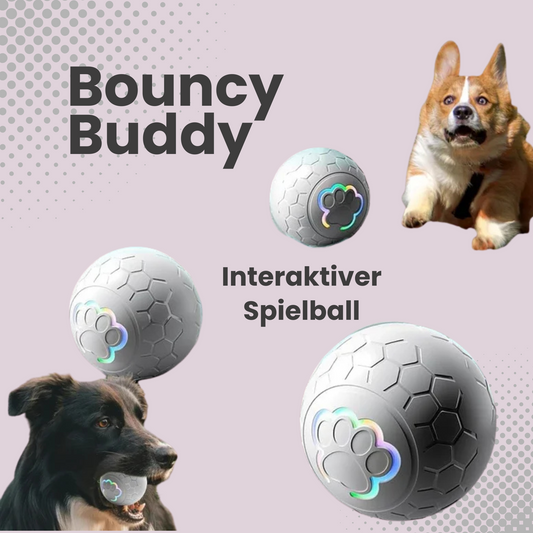 BouncyBuddy