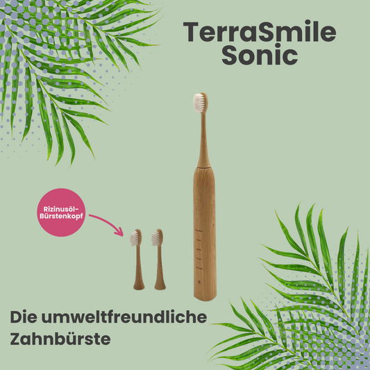 TerraSmile Sonic