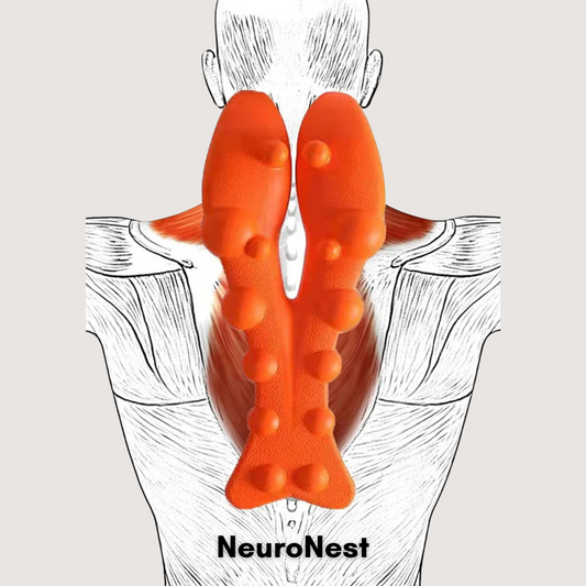 NeuroNest